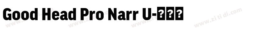 Good Head Pro Narr U字体转换 Good Head Pro Narr U字体转换
